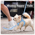 rabbitgoo Dog Harness Small Sized and Leash Set, Step-in Puppy Pet Vest | Light, Soft, Breathable Air Mesh, Easy on and Remove with Hook & Loop, Secure Reflective for Walking, Blue & Plaid Trim XXS