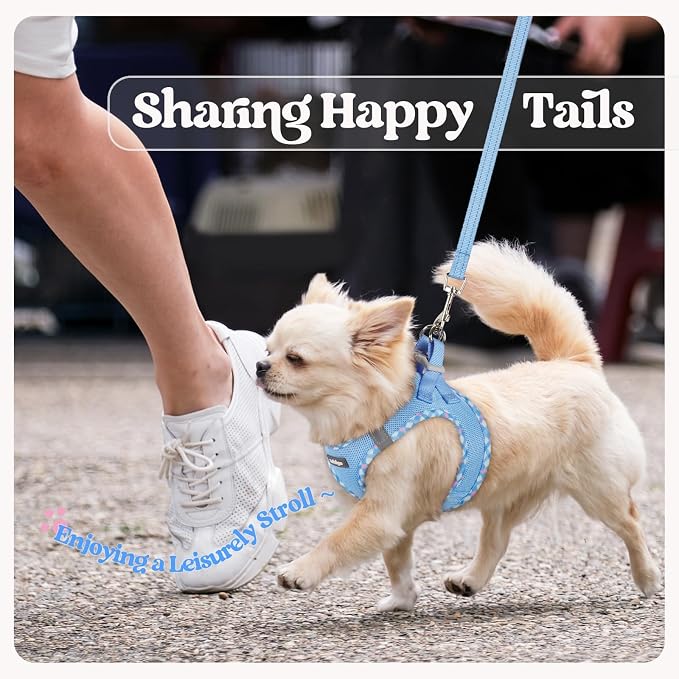 rabbitgoo Dog Harness Small Sized and Leash Set, Step-in Puppy Pet Vest | Light, Soft, Breathable Air Mesh, Easy on and Remove with Hook & Loop, Secure Reflective for Walking, Blue & Plaid Trim XXS