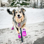 QUMY Dog Shoes for Hot Pavement, Dog Snow Boots & Paw Protectors for Winter | Dog Booties Medium Large Size Dogs, Water-resistant in the Rain, Outdoor Walking, Indoor Hardfloors Skid-resistant Sole