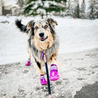 QUMY Dog Shoes for Hot Pavement, Dog Snow Boots & Paw Protectors for Winter | Dog Booties Medium Large Size Dogs, Water-resistant in the Rain, Outdoor Walking, Indoor Hardfloors Skid-resistant Sole