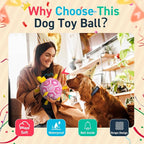 QDAN Dog Birthday Toys, Puppy Gifts, Dog Soccer Ball with Straps, Pink | 8 Inch Outdoor Herding Balls for 30-90 lbs Dogs, Interactive Training Soccer Toy for Tug of War, Dog Ball to Keep Them Busy