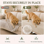 Smiry Velvet Couch Cover for Dogs, Non Slip Soft Sofa Protector for Pets | Washable Sofa Cover for Cats, Cozy Furniture Protector Against Pet Hair, Scratches, Fits Sectional Sofa(White, 36"x71")
