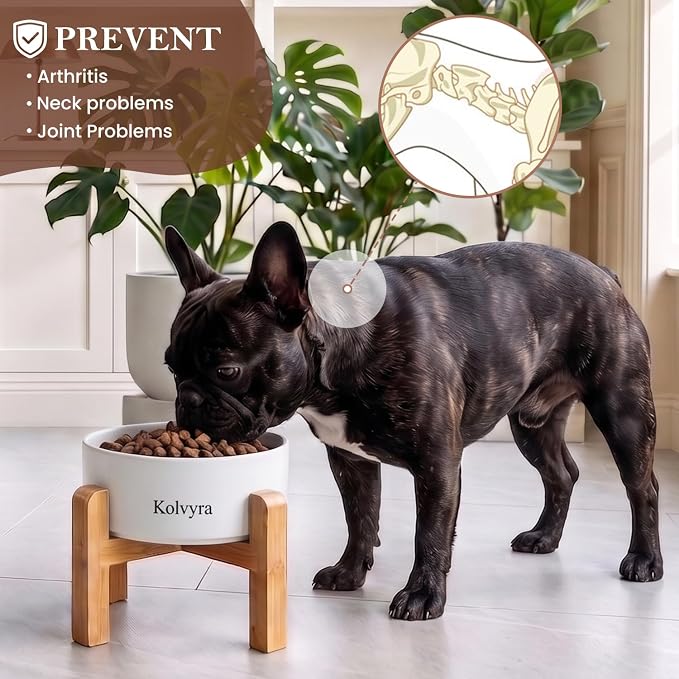 6" Elevated Ceramic Dog Bowl, Anti-Vomiting 23oz for Small Dogs | Premium Food-safe Ceramic with Anti-slip Wood Stand,Dishwasher Safe,Ergonomic Height Relieves Neck Strain,White