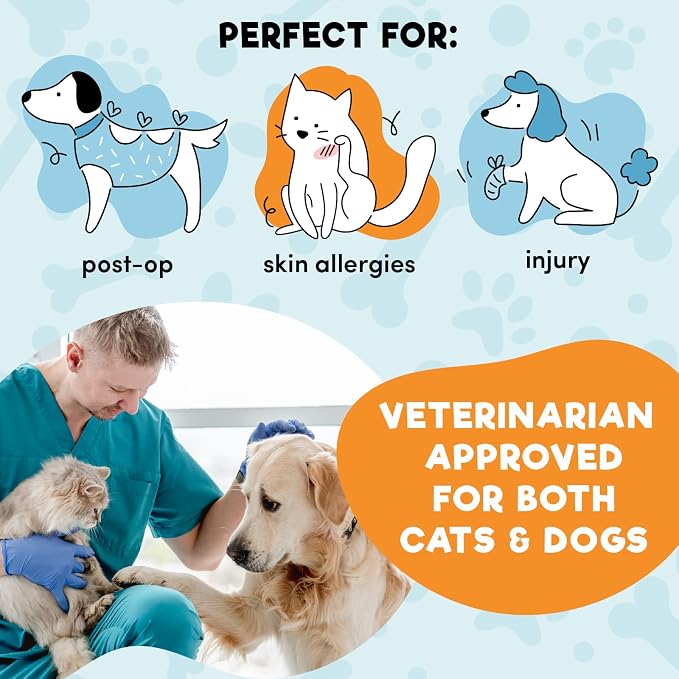 BENCMATE Inflatable Dog Cone Collar Alternative, Soft Dog Cone for Small Medium Large Dogs and Cats, Neck Recovery ECollar Donut Collar After Surgery (XXLarge, Blue)