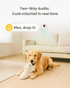 Furbo Mini Pet Camera [No Monthly Fee] | 130° Wide View, Barking/Meowing Alerts, 2-Way Audio, Night Vision, Mountable Design, Pet Monitoring, No AI Alerts or Rotation