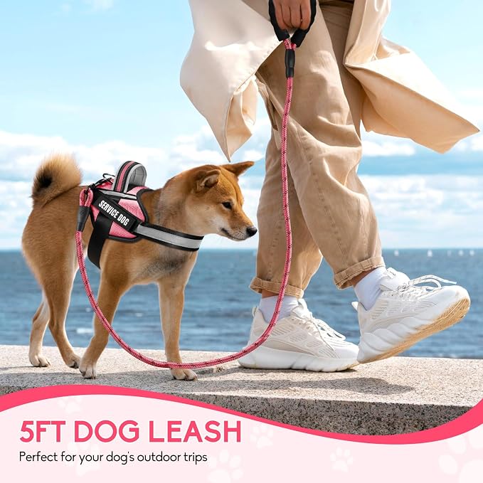 Service Dog Vest Harness and Leash Set, Animire in Training Dog Harness with 10 Dog Patches, Reflective Dog Leash with Soft Padded Handle for Small, Medium, Large, and Extra-Large Dogs (Rosy,M)