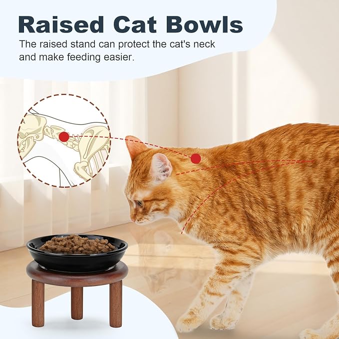 SPUNKYJUNKY Shallow Elevated Cat Bowl with Acacia Wood Stand Wide Raised Ceramic Cat Dishes Whisker Friendly Pet Food and Water Plates (Striped Pattern, 2 Pack, Black)