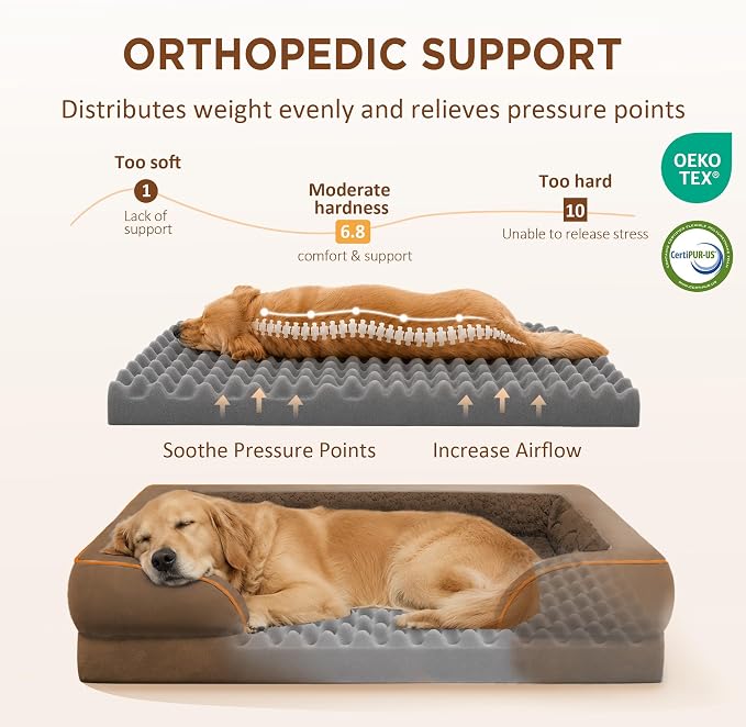 Comfort Expression Orthopedic Dog Bed for Extra Large Dogs with Bolster | Waterproof Dog Couch Bed with Washable Cover & Non-Slip Bottom, Supportive Egg Crate Foam XL Pet Bed, 45x35 Inch