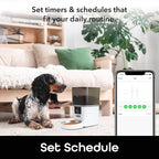 Geeni PetConnect 6L Smart Pet Feeder with Camera