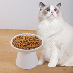 Ceramic Elevated Cat Bowls - 6.2 Inch Extra Wide Raised Cat Food and Water Bowl Set for Indoor Cats, Whisker-Friendly Ceramic Cat Dish for Elder Big Cats & Small Dogs,White,2 Pack
