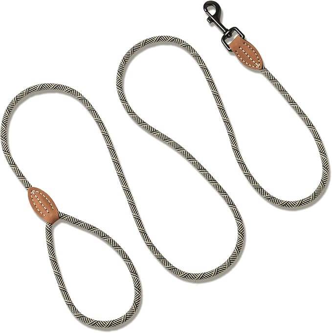 Mile High Life Thin Small Dog Leash with Genuine Leather Connection | Rope Leash, Heavy Duty 360° Swivel Metal Clasp, for Small Medium & Large Dogs (White Beige, 48 Inch)