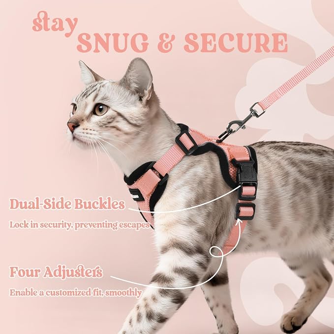 rabbitgoo Cat Harness and Leash Set, Escape Proof Vest, Light Salmon Pink | Soft Breathable Mesh, Easy Adjustable Fit, Snap Buckles, Sturdy Clip, Reflective Strips, for Medium to Large Cats Walks, M