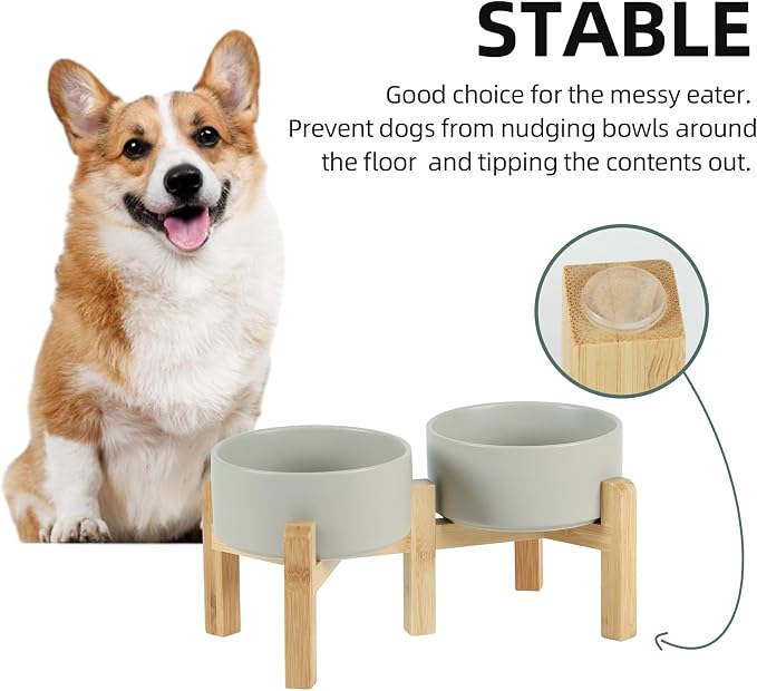 Havniva Dog Bowls Elevated, Ceramic Dog Food and Water Bowl Set | 6.1” Raised Dog Food Bowl, Elevated Dog Bowls with Bamboo Stand, Non-Slip Dog Water Bowl for Small Dog, Large Capacity