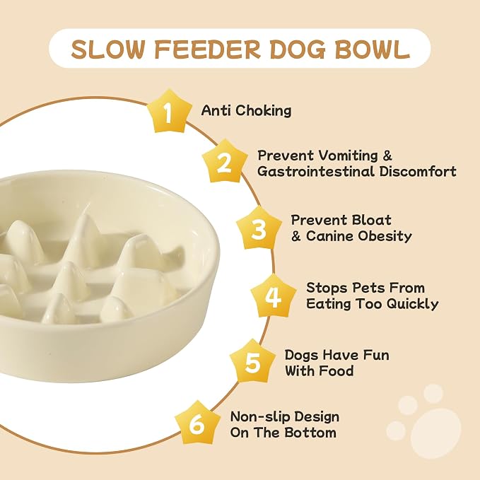 Havniva Elevated Slow Feeder Dog Bowls, Ceramic Dog Bowl Slow Feeder Set | 0.9 Cups Raised Slow Feeding Bowl for Small Breed, 6.1” Dog Water Bowl with Wooden Stand, Puzzle Dog Slow Feeder, Non-slip