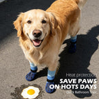 EXPAWLORER Non-Slip Dog Socks for Hardwood Floors to Prevent Licking, Dog Shoes for Hot Pavement Quick Walking, Dog Booties Boots & Paw Protectors with Grippers for Small Medium Large Senior Dogs M