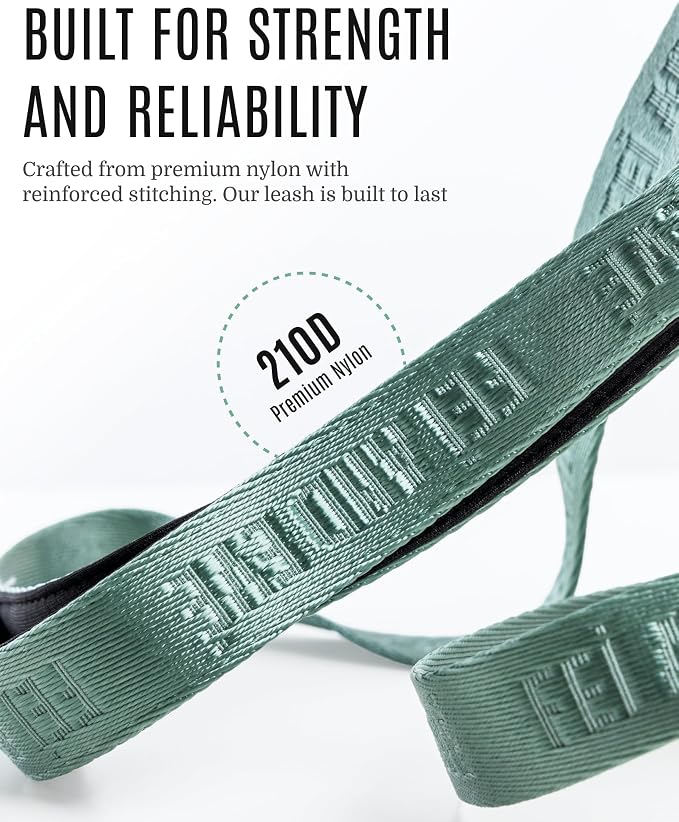 Fei & Eve Classic Dog Leash | Soft-Touch 210D Nylon, Dual Padded Handles, Traffic Handle, Tangle-Free, Heavy Duty, Glacier Green, 4FT