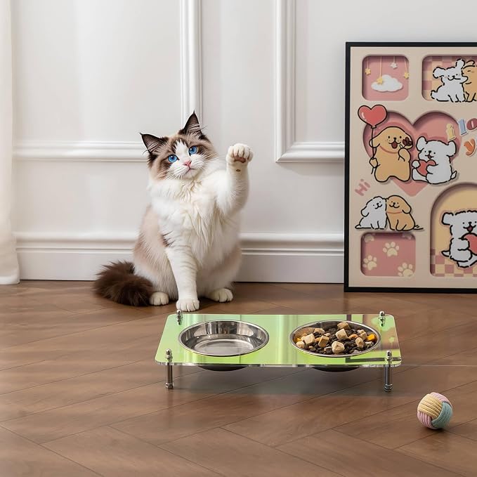 Elevated Cat Bowls with Food Mat Tilted 304 Stainless Steel Dishes for Cats | Raised Food and Water Bowl Set, Whisker Friendly Shallow Dish,10° tilted Anti-Vomiting, Durable Acrylic Base Feeder, Non-Slip