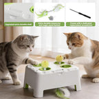 Magic House Cat Toy, Rechargeable Whack-a-Mole Feather Toy | 3 Play Modes, 4 Holes Design, 4 Replacement Accessories, Ideal for Indoor Cats Entertainment
