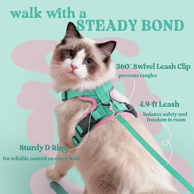 rabbitgoo Cat Harness and Leash Set, Escape Proof Vest, Green & Pink | Soft Breathable Mesh, Easy Adjustable Fit, Snap Buckles, Sturdy Clip, Reflective Strips, for Kittens & Small Cats Walks, Xxs
