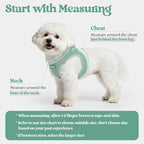 rabbitgoo Dog Harness Small Sized and Leash Set, Step-in Puppy Pet Vest | Light, Soft, Breathable Air Mesh, Easy on and Remove with Hook & Loop, Secure Reflective for Walking, Moss Green S