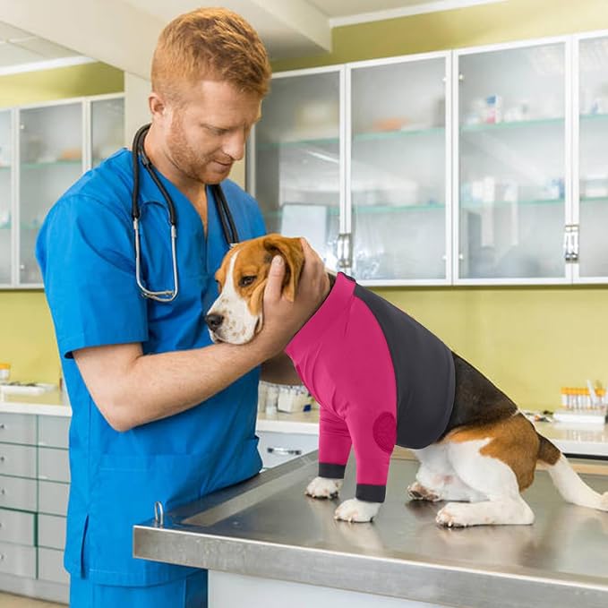 Lelepet Dog Recovery Sleeve, Dog Long Sleeve Shirt Stop Licking S | Surgery Recovery Suit for Front Legs Shoulder Chest Wounds Skin Conditions Leg Sleeve for itching with Arms Elbow Protector