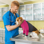 Lelepet Dog Recovery Sleeve, Dog Long Sleeve Shirt Stop Licking S | Surgery Recovery Suit for Front Legs Shoulder Chest Wounds Skin Conditions Leg Sleeve for itching with Arms Elbow Protector