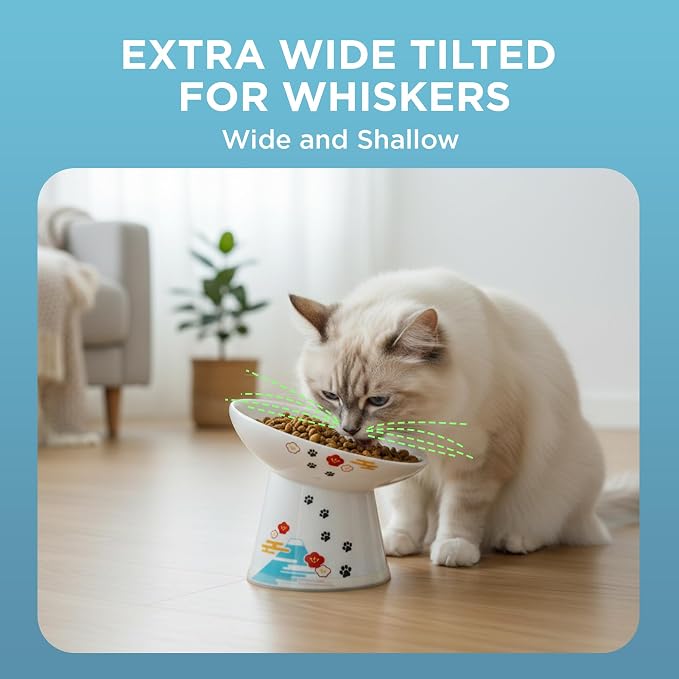 Necoichi Ceramic Raised Cat Food Bowl, 15° Tilted (Fuji, Extra Wide Tilted)