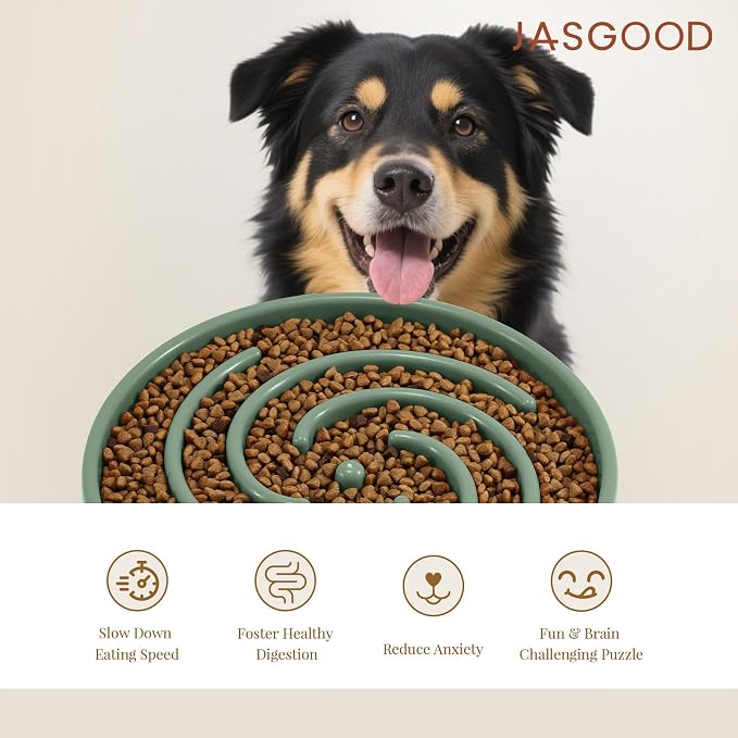 JASGOOD Slow Feeder Dogs Bowl for Large Medium Dogs,Anti-Gulping Pet Slower Food Feeding Bowls