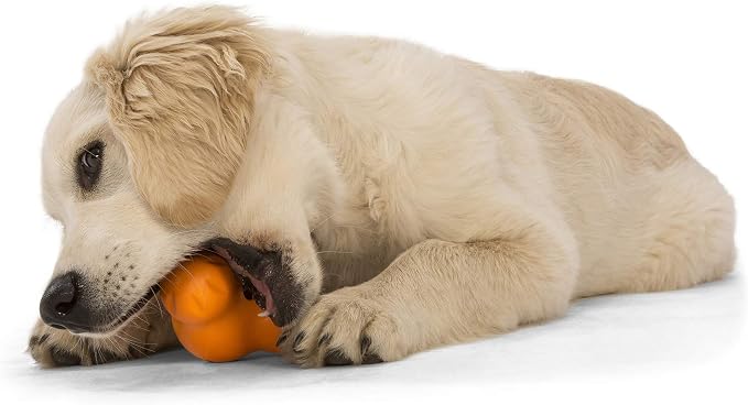 WEST PAW Zogoflex Tux Interactive Treat Dispensing Dog Chew Toy for Aggressive Chewers, 100% Guaranteed Tough, It Floats!, Made in USA, Small, Tangerine