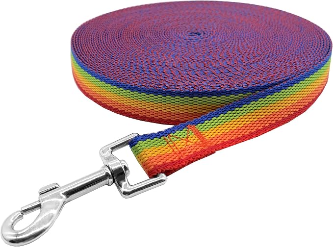 Nylon Training Dog Leash for Small Medium Large Dogs, 15ft 20ft 30ft 50ft Long Leash Dog/Puppy Lead for Obedience Recall Training, Camping (1" x 30ft, Rainbow)