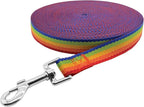 Nylon Training Dog Leash for Small Medium Large Dogs, 15ft 20ft 30ft 50ft Long Leash Dog/Puppy Lead for Obedience Recall Training, Camping (1" x 30ft, Rainbow)