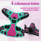 rabbitgoo Dog Harness, No Pull Medium Sized with 2 Leash Clips, Pet Vest | No Choke with Handle, Adjustable Soft Padded, Reflective, Easy Control for Walking, Hot Pink & Turquoise, Medium