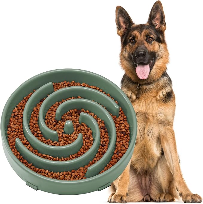 JASGOOD Slow Feeder Dogs Bowl for Large Medium Dogs,Anti-Gulping Pet Slower Food Feeding Bowls