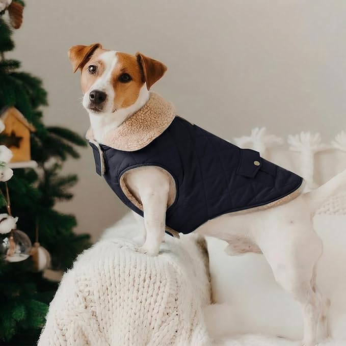 Dog Winter Jacket for Extra-Large Dogs, Pet Windproof Cold Weather Coats, Pets Clothes Snow Jacket, Golden Retriever, Labrador Retriever, Husky, NavyBlue XL