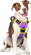 rabbitgoo Dog Harness No Pull with 2 Leash Clips, Adjustable Soft Padded, Reflective Oxford No Choke Pet Vest with Easy Control Handle for Large Dogs, Purple & Yellow, L | No Choke with Handle, Adjustable Soft Padded, Reflective, Easy Control for Walki...