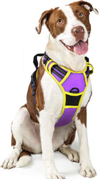 rabbitgoo Dog Harness No Pull with 2 Leash Clips, Adjustable Soft Padded, Reflective Oxford No Choke Pet Vest with Easy Control Handle for Large Dogs, Purple & Yellow, L | No Choke with Handle, Adjustable Soft Padded, Reflective, Easy Control for Walki...