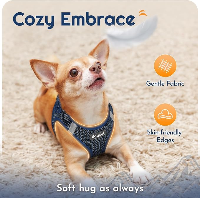 Eagloo Small Dog Harness and Leash Set, Step in Medium Small Puppy Pet Vest | Light, Soft, Breathable Air Mesh, Easy on and off with Hook & Loop, Reflective for Safe Walking, Navy Blue, M