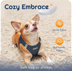 Eagloo Small Dog Harness and Leash Set, Step in Medium Small Puppy Pet Vest | Light, Soft, Breathable Air Mesh, Easy on and off with Hook & Loop, Reflective for Safe Walking, Navy Blue, M