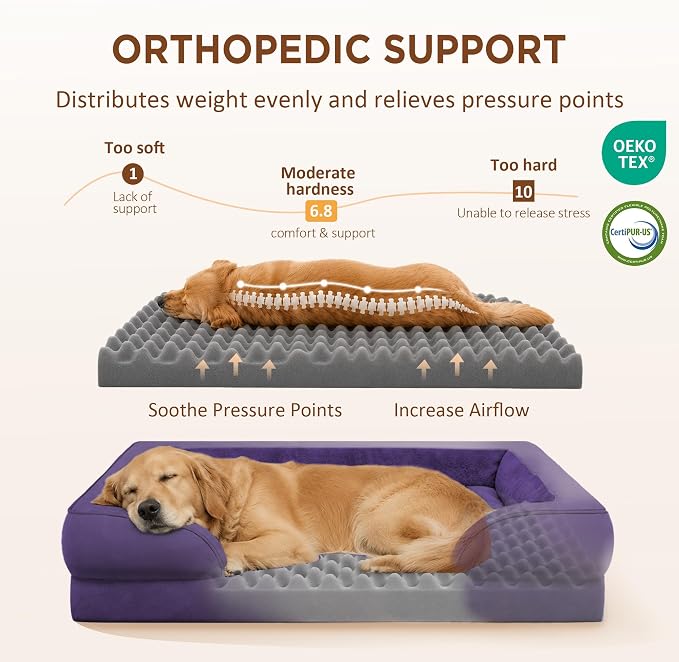 Comfort Expression Orthopedic Dog Beds for Large Sized Dog with Bolster | Waterproof Dog Couch Bed with Washable Cover & Non-Slip Bottom, Supportive Egg Crate Foam Large Pet Bed, 36x27 Inch