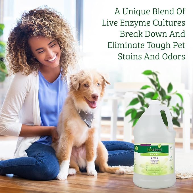 Biokleen Bac-Out Pet Stain Remover - 2 Gallon - Enzymatic, Natural, Destroys Stains & Odors Safely, for Pet Stains on Carpets - Eco-Friendly, Plant-Based