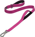 PetiFine 4FT Heavy Duty Dog Leash with Soft Padded Double Handle | Traffic Handle Extra Control,Auto Lock Hook,Reflective Nylon Walking Lead for Large,Medium,Small Breed Dogs
