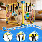 Puppy-Play-Gym for Small Dogs with 10 Dog Toys,19.5" Indoor-Jungle-Play-Gym | Removable Dog Enrichment Playground Interactive Dog Squeaky Toys Puppy Training Center, Adjustable PVC Frame for Puppies Cat