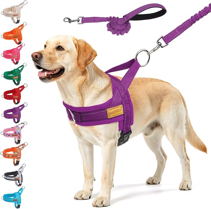 BEAUTYZOO Dog Harness for Large Dogs, No Pull Dog Harness and Leash Set, Soft Escape Proof Puppy Vest Harness with Handle, Reflective Lightweight Step in Harness for Girl Boy Dogs, Purple L