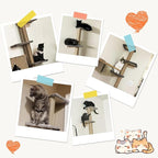 PAWSCRAT 5-Tier Wall-Mounted Cat Tree, 80-Inch Sisal Post, PureWhite | Cat Tower for Indoor Cats, Cozy hammock and Durable Sisal Post Give Cats Vertical Space to Jump, Climb, Scratch and Rest.