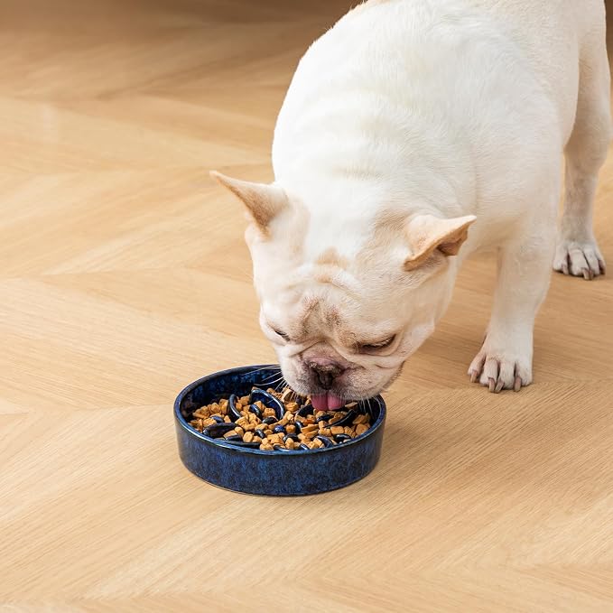 vancasso Ceramic Slow Feeder Dog Bowls, Puzzle Dog Food Bowls with Floral Maze, Anti -Slip Pet Food Dish for Small Breed, 0.6 Cups, Blue