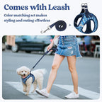 rabbitgoo Dog Harness Small Sized and Leash Set, Step-in Puppy Pet Vest | Light, Soft, Breathable Air Mesh, Easy on and Remove with Hook & Loop, Secure Reflective for Walking, Blue Zigzag M