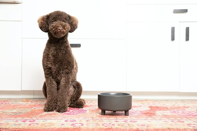 Waggo Uplift Ceramic Dog Bowl for Small Medium and Large Breeds - Heavyweight and Durable Pet Food and Water Dish Crock, Dishwasher Safe, Modern, Elevated Feeder (Teracotta, Medium)