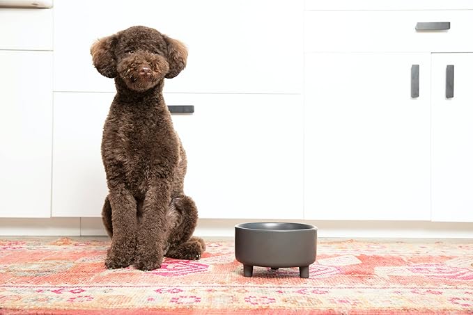Waggo Uplift Ceramic Dog Bowl for Small Medium and Large Breeds - Heavyweight and Durable Pet Food and Water Dish Crock, Dishwasher Safe, Modern, Elevated Feeder (Black, Large)