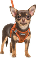 Eagloo Small Dog Harness and Leash Set, Step in Extra Small Puppy Pet Vest | Light, Soft, Breathable Air Mesh, Easy on and off with Hook & Loop, Reflective for Safe Walking, Orange, XXS