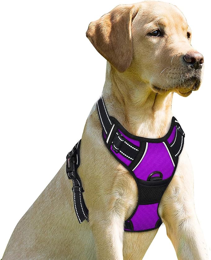 BARKBAY No Pull Dog Harness Front Clip Heavy Duty Reflective Easy Control Handle for Large Dog Walking(Purple,S)